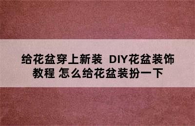 给花盆穿上新装  DIY花盆装饰教程 怎么给花盆装扮一下